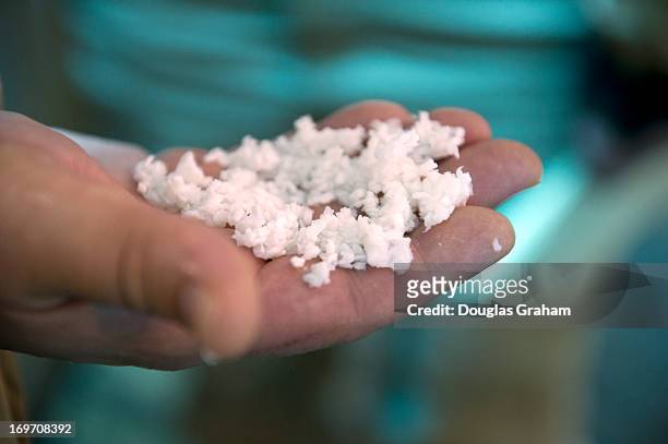 May 30: A worker holds nitrocellulose in its first stage of being processed. Nitrocellulose also known cellulose nitrate, flash paper, flash cotton,...