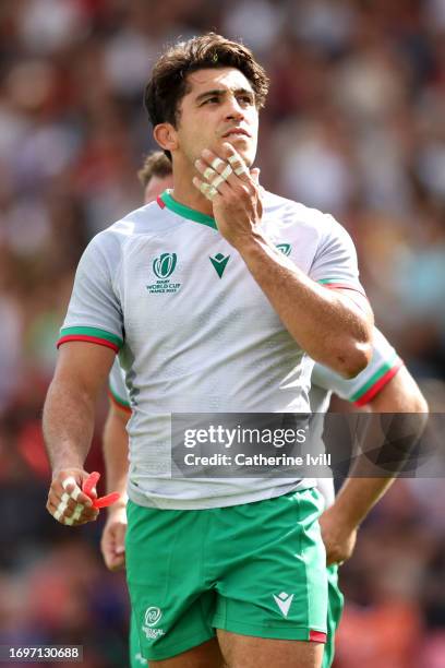 226 Tomas Appleton Stock Photos, HighRes Pictures, and Images Getty