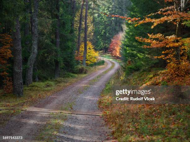 idyllic autumn scenery - czech republic bildbanksfoton och bilder