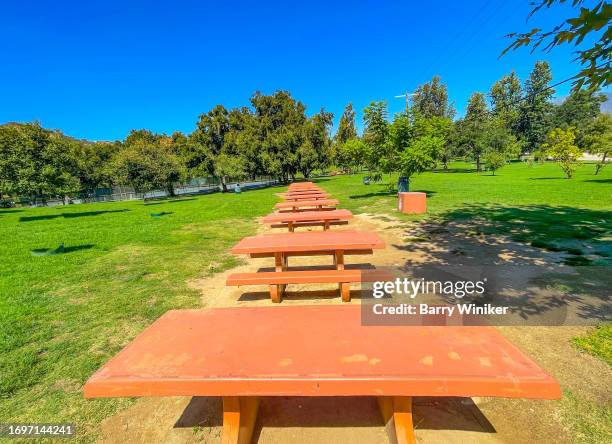 picnic tables on lawn, los angeles - grazing table stock pictures, royalty-free photos & images