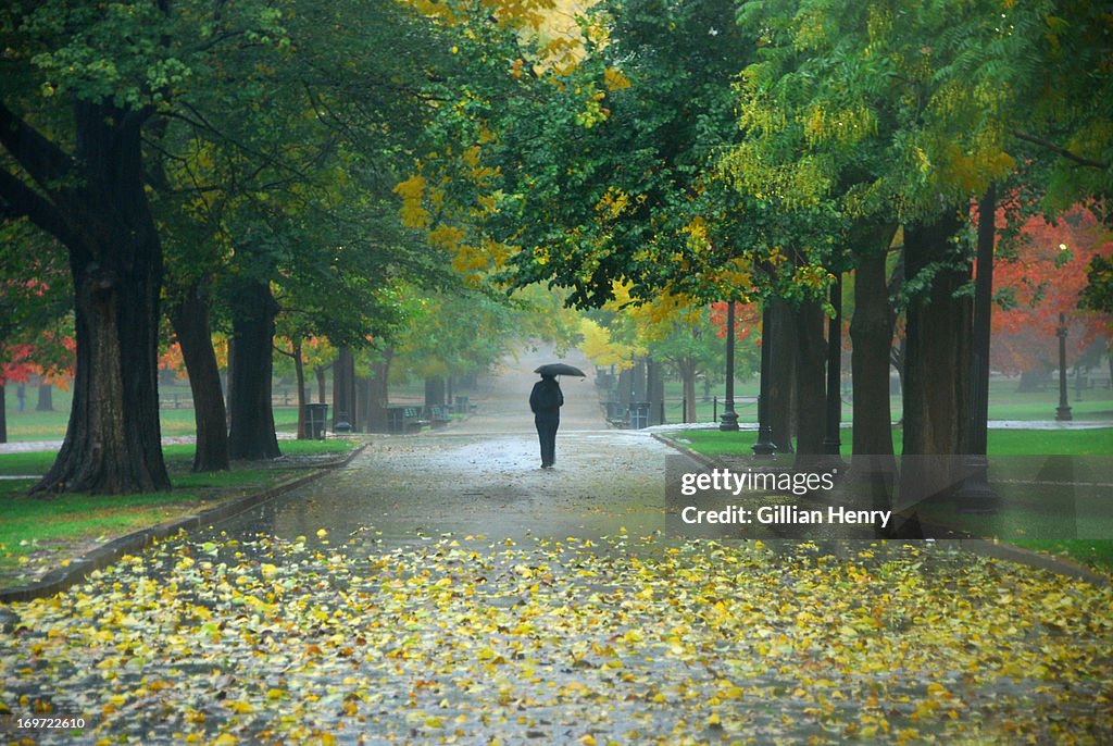 Fall Rain on Boston Common