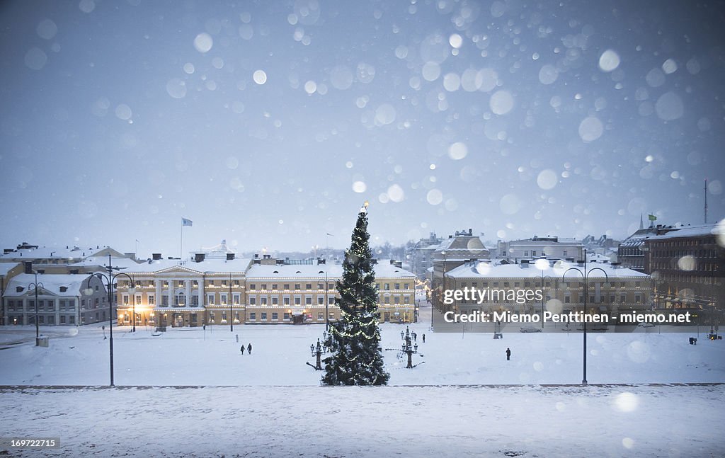 A christmas tree in Helsinki during snow storm