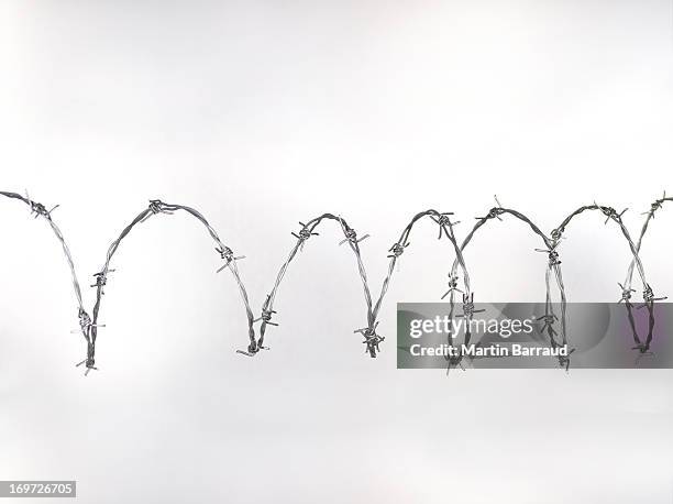 arame farpado - arame farpado arame - fotografias e filmes do acervo