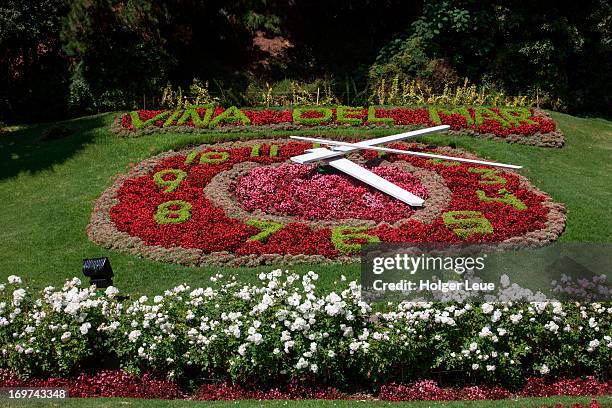 floral clock - viña del mar stock pictures, royalty-free photos & images