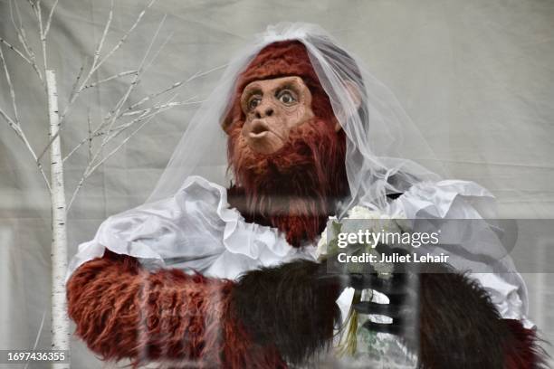 aunty ape in wedding gear again (2) - bridal shop stock pictures, royalty-free photos & images