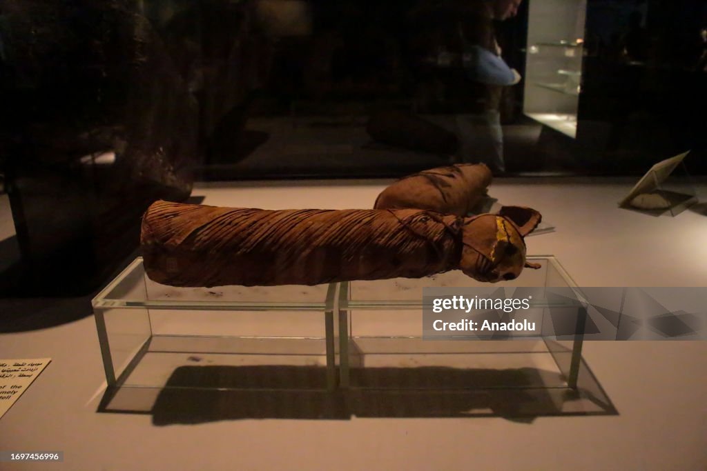 Mummification A view from the Mummification Museum, which hosts local and foreign ...