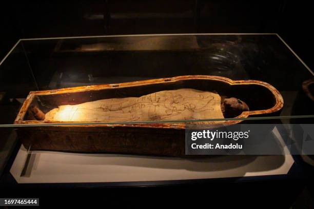Mummification Fish 245 Egypt Nile Fish Stock Photos, High-Res Pictures, and Images - Getty ...