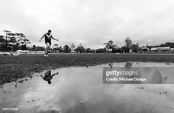 Maddingley Maddingley Park Photos and Premium High Res Pictures - Getty Images
