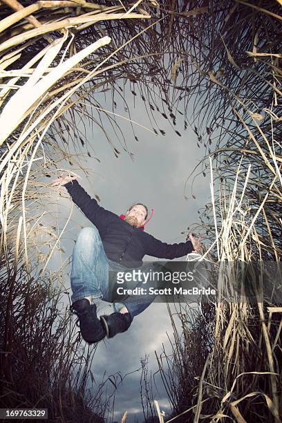 leaping in the reeds - scott macbride stock pictures, royalty-free photos & images