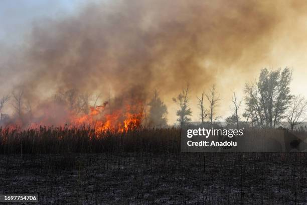 Grasses are on fire in a mined field near the village of Grakovo, which was de-occupied from the Russian forces, in Kharkiv Region, Ukraine on...