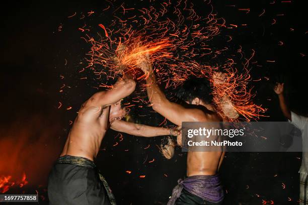 Pictures and Photos - Getty Images