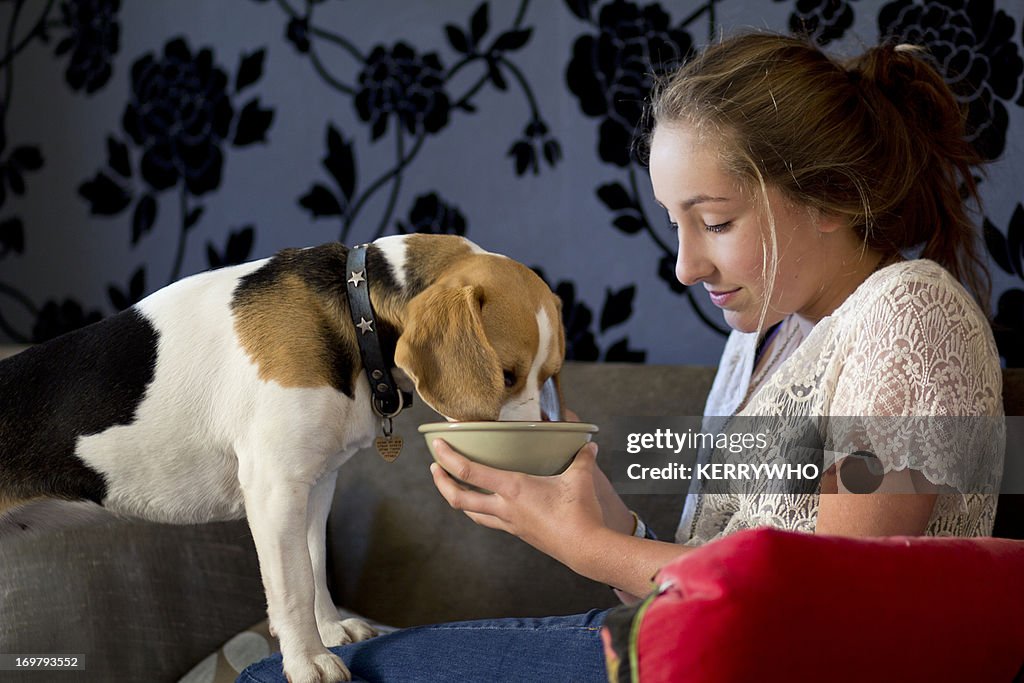 Beagle and teenage girl share from a bowl