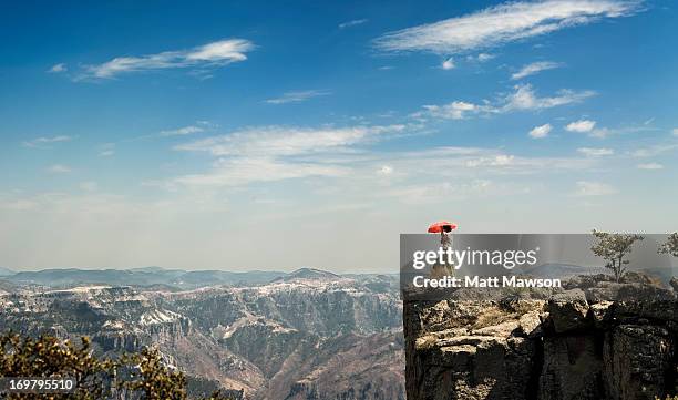 copper canyon national park chihuahua mexico - chihuahua mexico stock pictures, royalty-free photos & images
