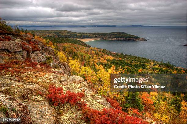 acadian autumn - maine coastline stock pictures, royalty-free photos & images