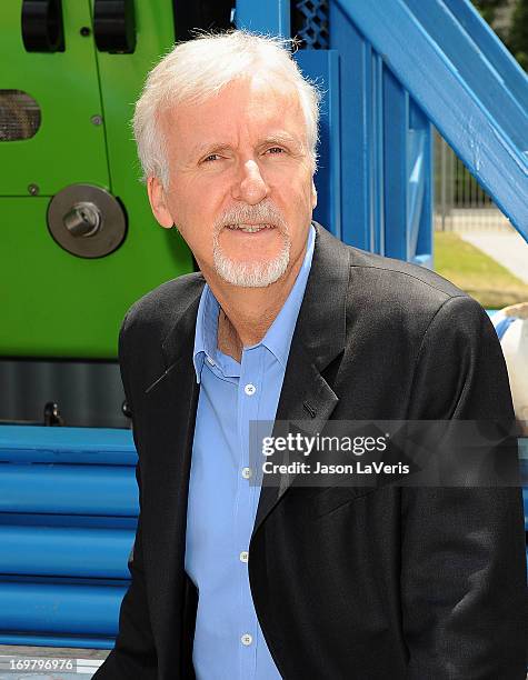 Director James Cameron attends the Deepsea Challenger photocall at California Science Center on June 1, 2013 in Los Angeles, California.