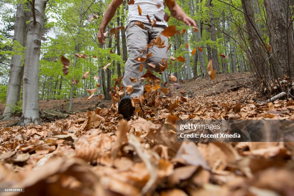 Hiker in mid-air stride through autumn leaves