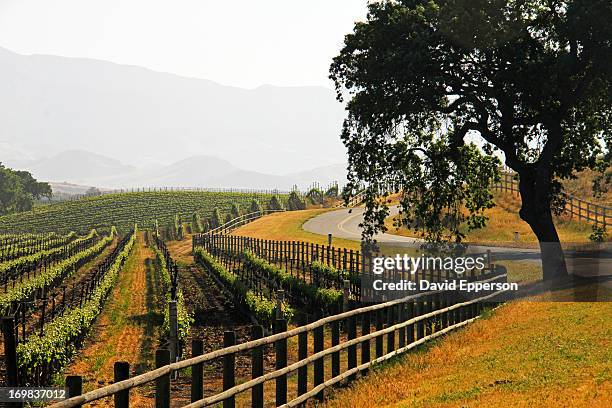 vineyards and landscape in santa ynez valley - サンタイネス ストックフォトと画像