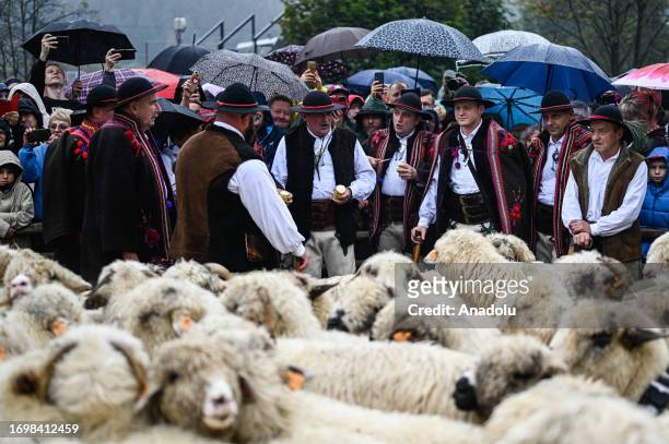 Shepherds sing folk music as they celebrate the Redyk, marking the end of the sheep grazing season with locals in Zawoja, Poland on September 30,...