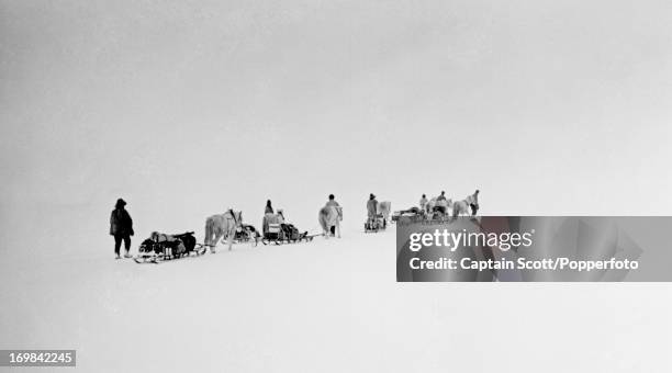 View of ponies and men on the march with sledges and supplies on the Great Ice Barrier photographed during the last, tragic voyage to Antarctica by...