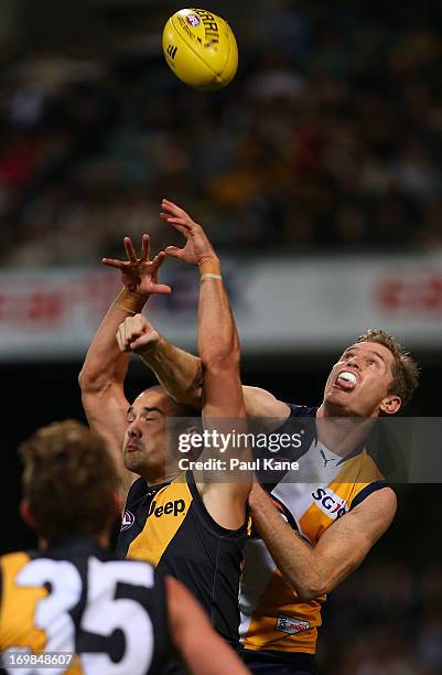 Adam Selwood of the Eagles spoils the mark for Shaun Grigg of the Tigers during the round ten AFL match between the West Coast Eagles and the...