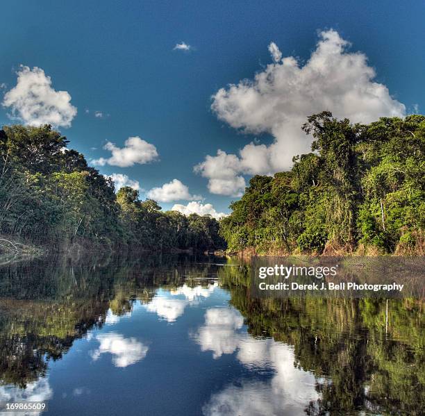 the amazon mirrow - reserva nacional pacaya samiria fotografías e imágenes de stock