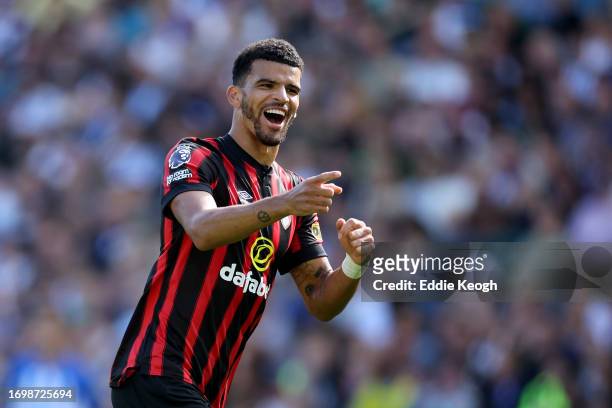 Dominic Solanke of AFC Bournemouth celebrates after scoring the team's first goal during the Premier League match between Brighton & Hove Albion and...