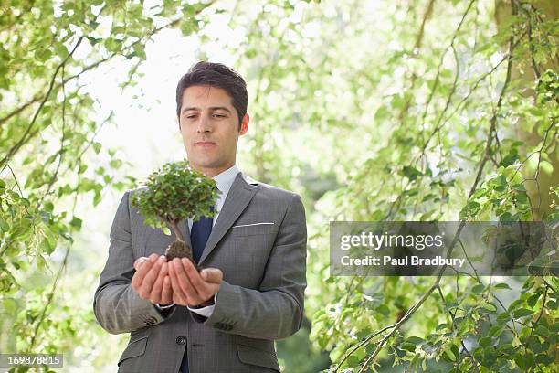 homme d'affaires tenant plante en plein air - homme costume jardinier photos et images de collection