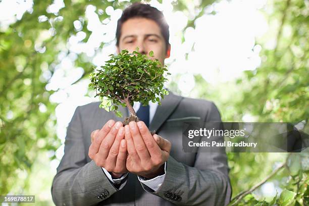 homme d'affaires tenant plante en plein air - homme costume jardinier photos et images de collection