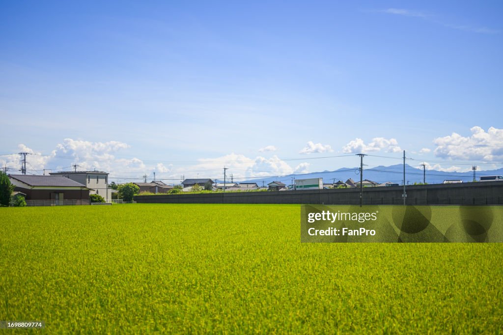 Farmland and countryside scenery in Kyushu, Japan