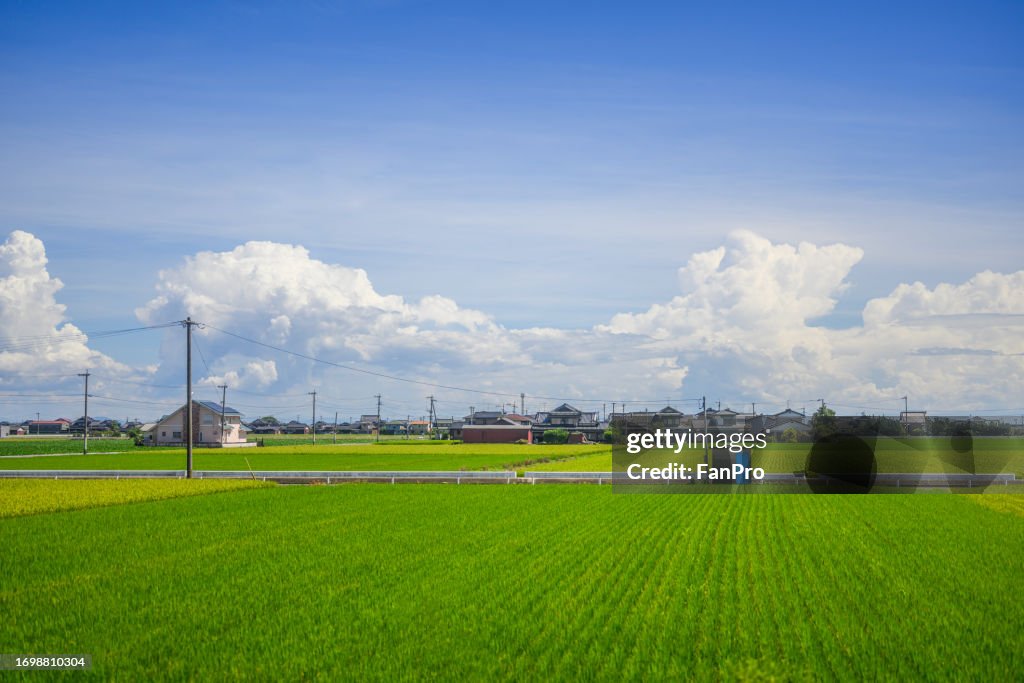 Farmland and countryside scenery in Kyushu, Japan