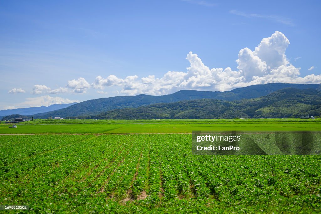 Farmland and countryside scenery in Kyushu, Japan