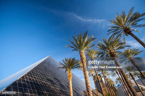 175 Pyramid Hotel In Las Vegas Stock Photos, High-Res Pictures, And Images  - Getty Images