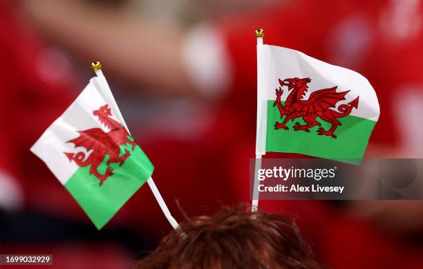 Fan of Wales is seen wearing a national flag headpiece prior to the Rugby World Cup France 2023 match between Wales and Australia at Parc Olympique...