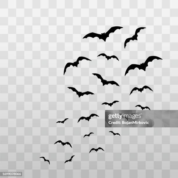 stockillustraties, clipart, cartoons en iconen met flying bats halloween . vector - vleermuis