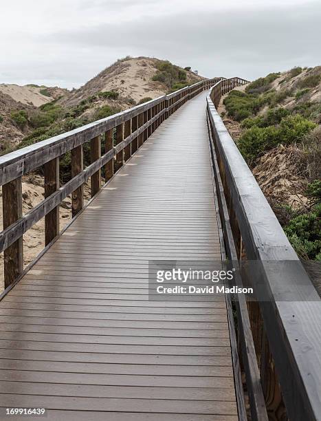 foot bridge at oso flaco lake state park. - nipomo stock pictures, royalty-free photos & images