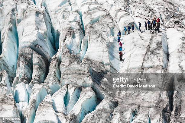 tourists hiking on fox glacier. - fox glacier stock pictures, royalty-free photos & images