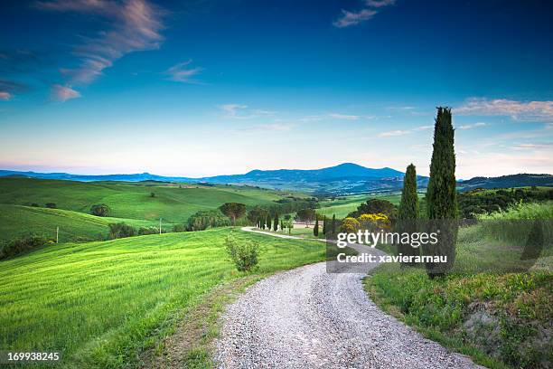 strada per la bellezza della toscana - single track foto e immagini stock