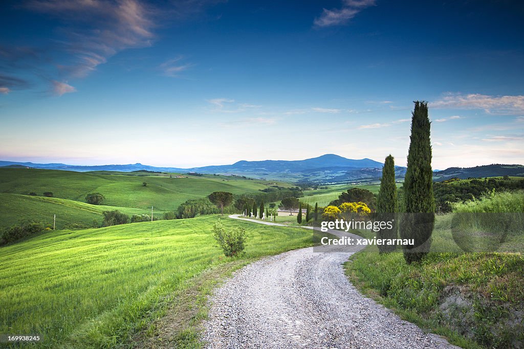 Road to the beauty Tuscany