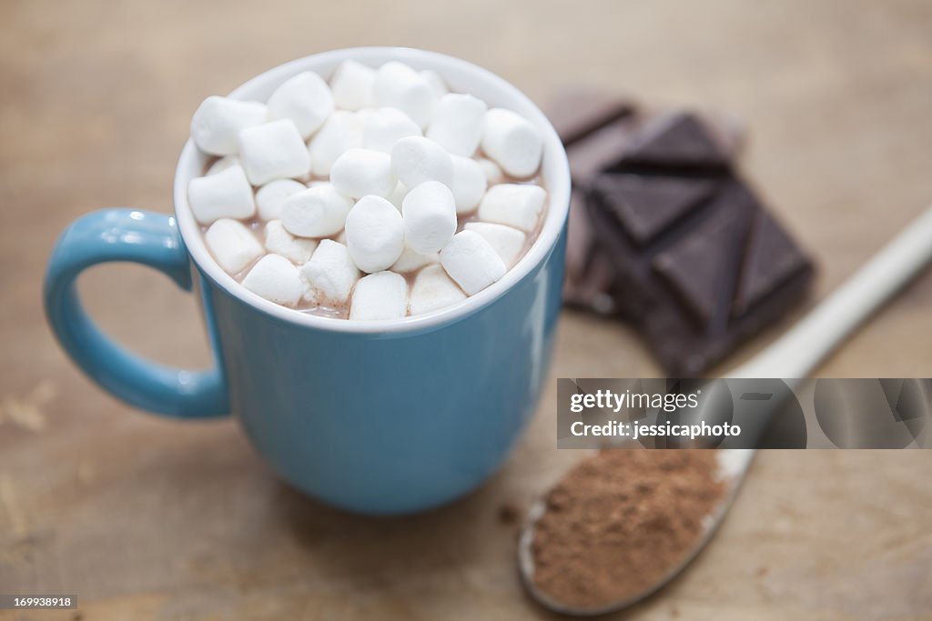 Hot Chocolate with Marshmallows