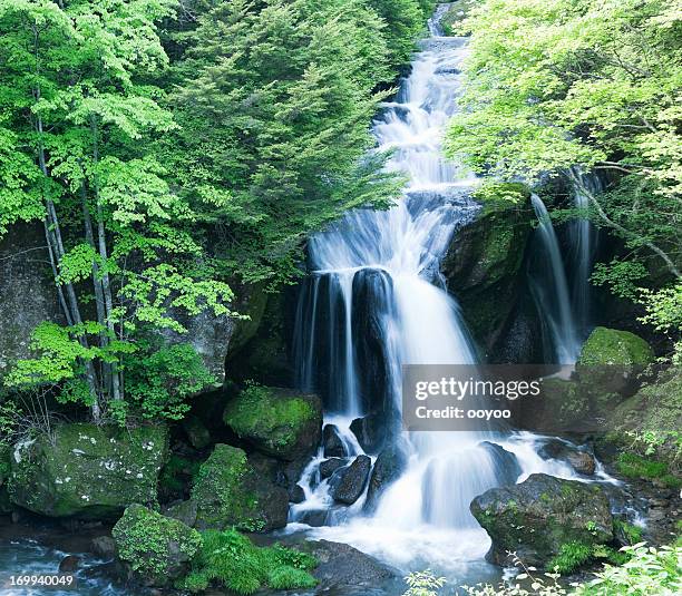 wasserfälle - nikko stock-fotos und bilder