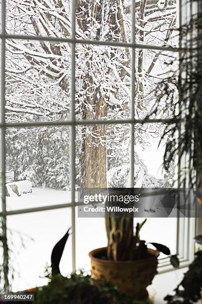 blizzard voando neve janela tipo "bay window" - janela saliente - fotografias e filmes do acervo