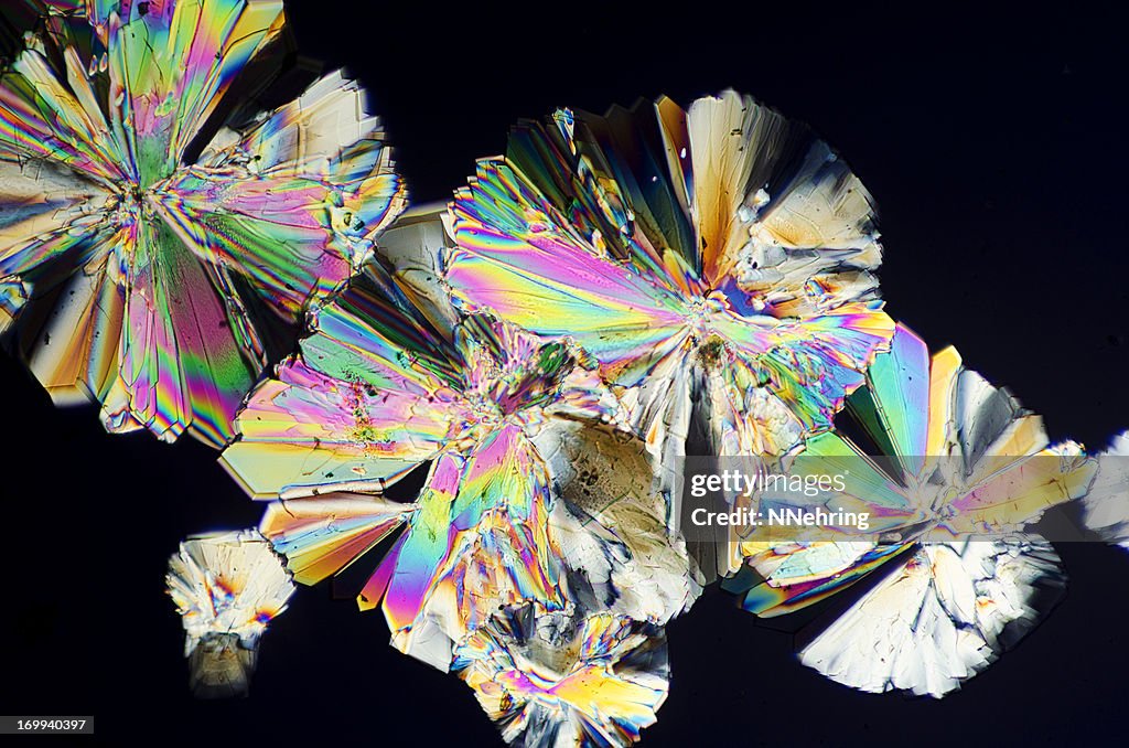 Cristales de azúcar en patrón abstracto micrografía