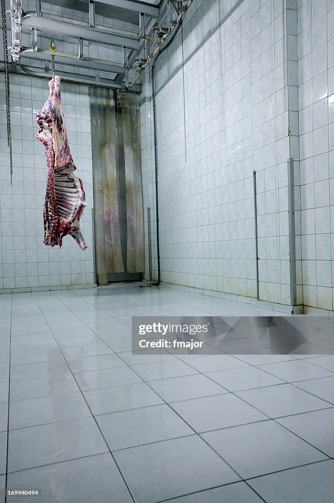 A meat carcass hangs upside down from a hook in a white room