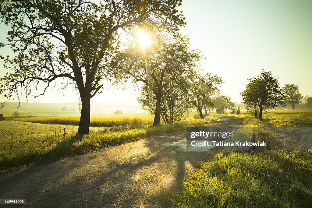 Sunrise over fields