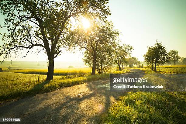 sunrise over fields - country road stock pictures, royalty-free photos & images