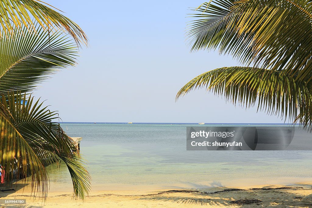 Caribbean: Dream Beach