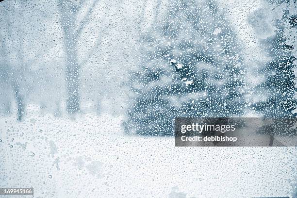 wintery forest through wet and snowy glass - snow window stock pictures, royalty-free photos & images