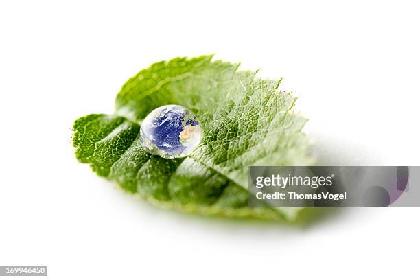 earth on green leaf - nature water environment bizarre - planet earth on white stock pictures, royalty-free photos & images