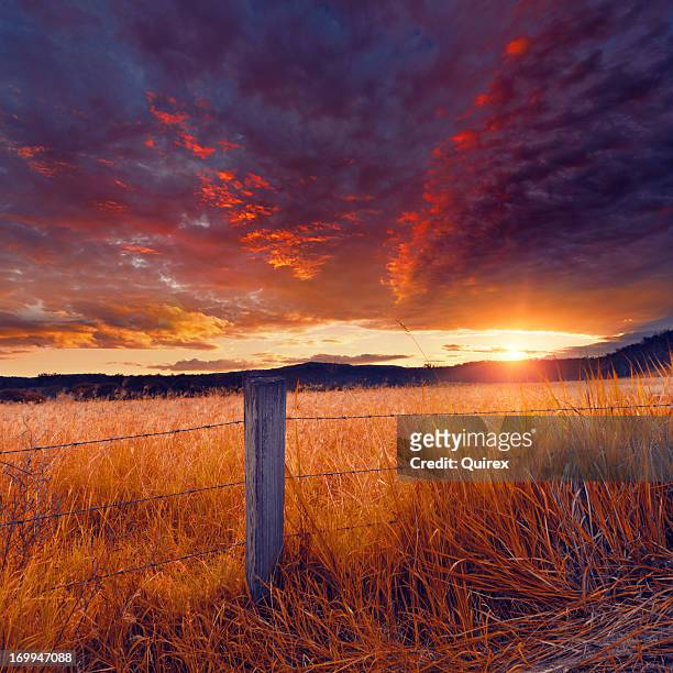 fence and field - queensland farm stock pictures, royalty-free photos & images