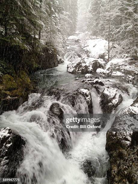 winter stream - willamette national forest stock pictures, royalty-free photos & images